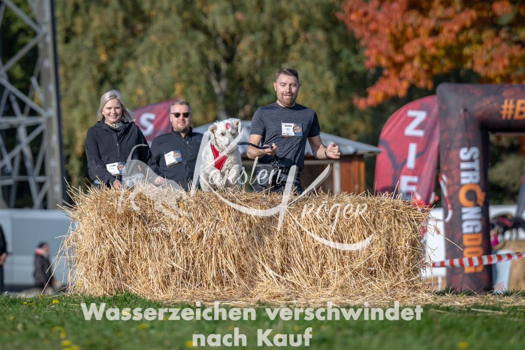 1033_ZZ90958 | kk-dogfotos