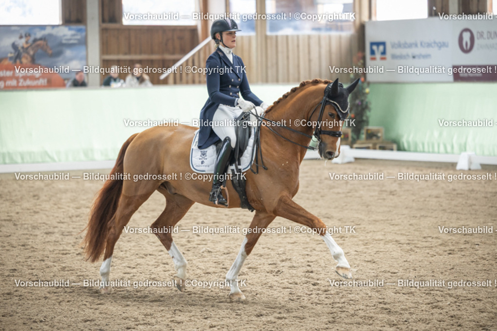 _D5A5267 | Emotionale Pferde- & People-Fotografie rund um Heidelberg, Leimen & Umgebung. Natürliche Fotos von Pferd, Mensch & Familie. Jetzt Termin sichern!