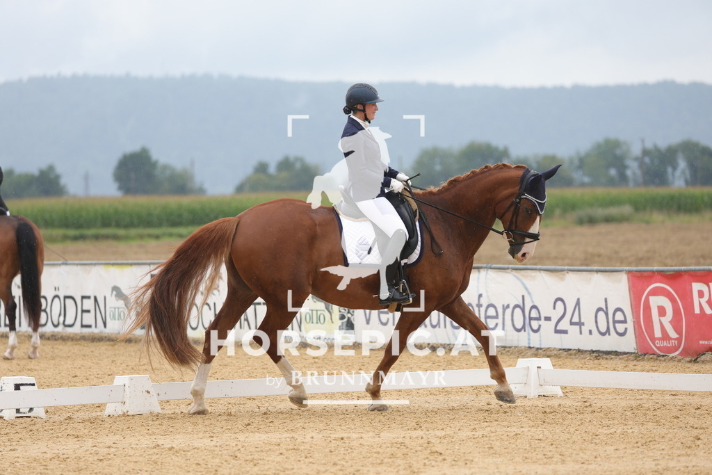 0P6A0030 | Willkommen bei Brunnmayr - Design & Fotografie – Ihrem Spezialisten für Reitturniere und Pferdeveranstaltungen in Oberösterreich, Salzburg und Bayern! Seit über 17 Jahren sind wir leidenschaftlich dabei.