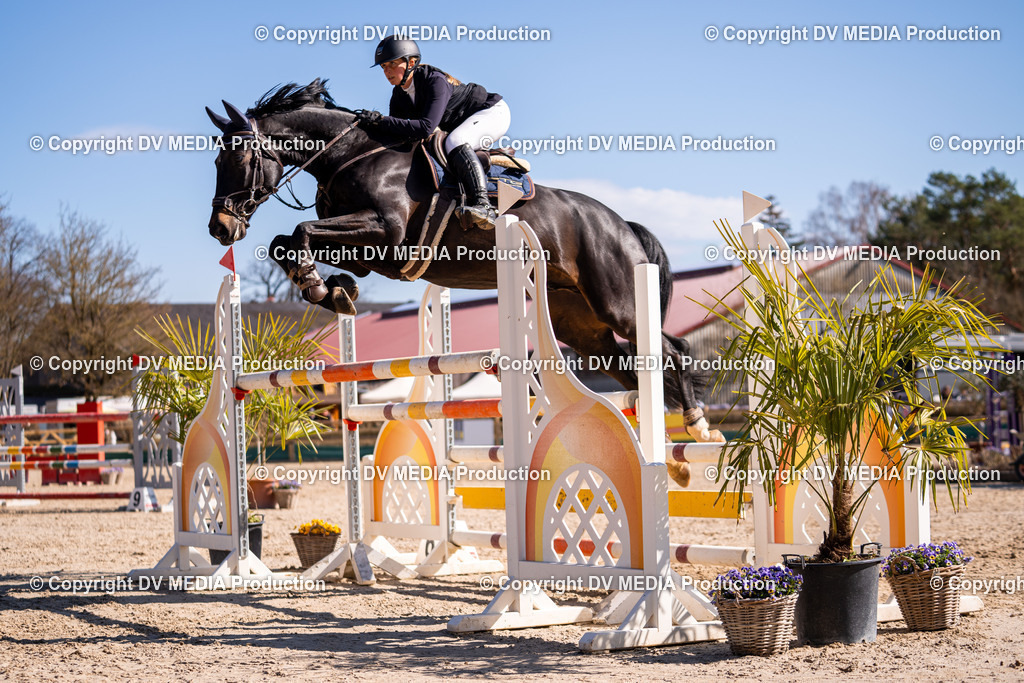 Kranichstein Tag 2-792 | dv-media-shop - Realisiert mit Pictrs.com