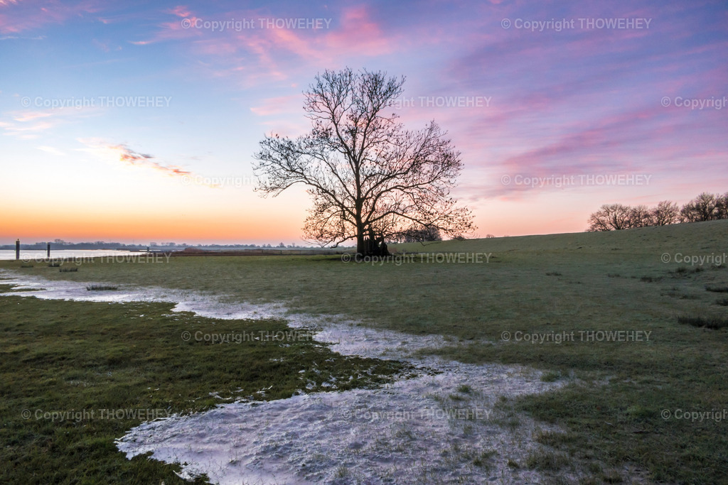 _2690994 | thowehey - Realisiert mit Pictrs.com