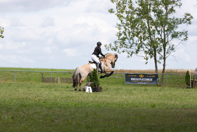 IMG_9282 | normansfotografie - Realisiert mit Pictrs.com