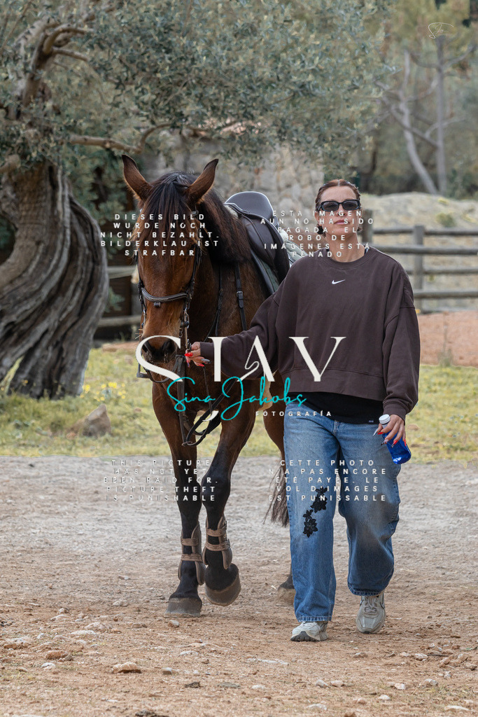 IMG_4756 | s-jay-photography - Realisiert mit Pictrs.com