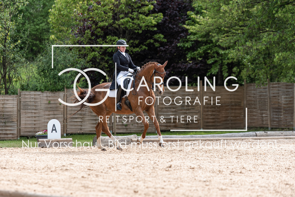DSC_3994 | Turnierfotografin Carolin Gieschke, Turnierfotografie Carolin G Fotografie, Turnierfotos Kirchheim/Teck, Esslingen, Stuttgart, Bodenseekreis