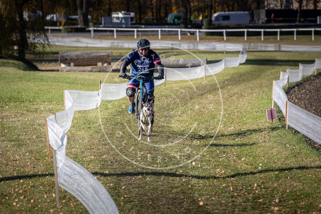 CaniXpix_DV3A5065 | Hundefotografie, Tierfotograf, Pfotenfotografie, Fotoshooting Hund, Hunde Portrait, Hundesport, Hundeportraits, Heideshooting, Hunde, Sportfotograf, Hundefotograf, Turnierhundsport, THS,  - Realisiert mit Pictrs.com