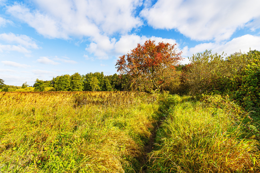 Landschaft im Herbst im Warnowdurchbruchstal bei Groß Görnow | Landschaft im Herbst im Warnowdurchbruchstal bei Groß Görnow.