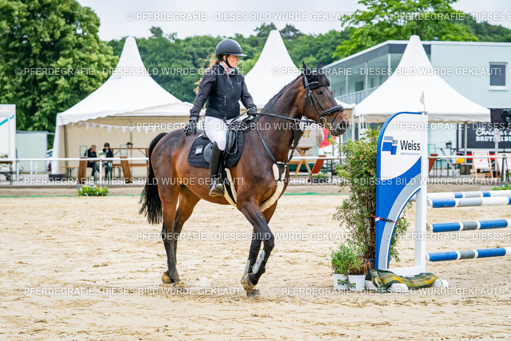 DSC01875 | Pferdegrafie