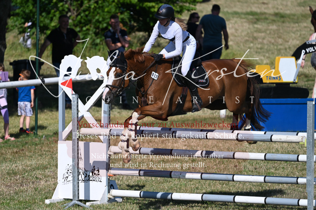 DSC_2305 | Pferde- und Turnierfotografie in Westsachsen. Pferdeportraits, Auftragszeichnungen und intuitive Kunst.