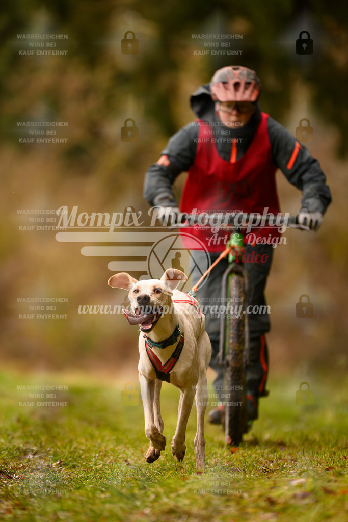 MompixPhotography_2SSTSSBW_2025_SO_Scooter-78 | PayLife