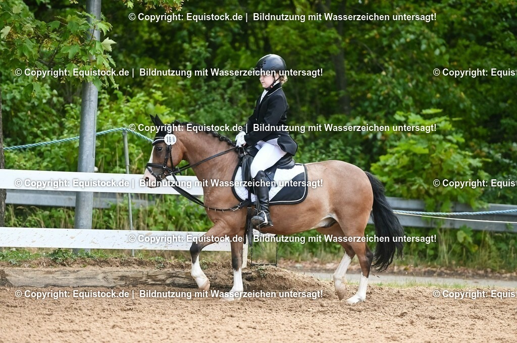 20230716_10-2_Reiter-WB Schritt - Trab - Galopp_0147 | equistock