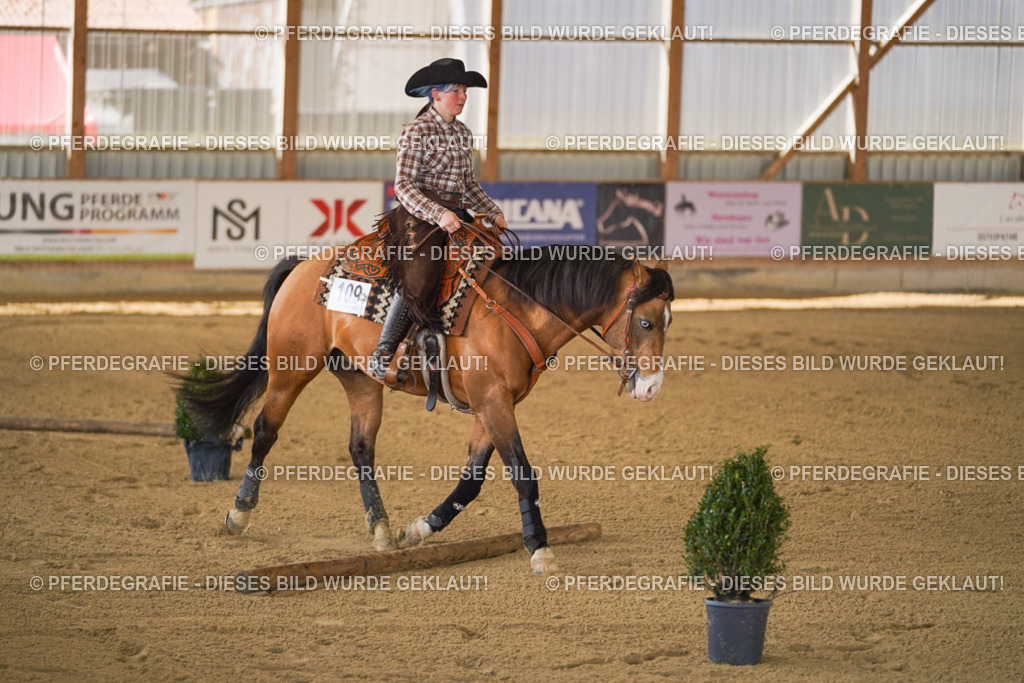 DSC06950 | Pferdegrafie