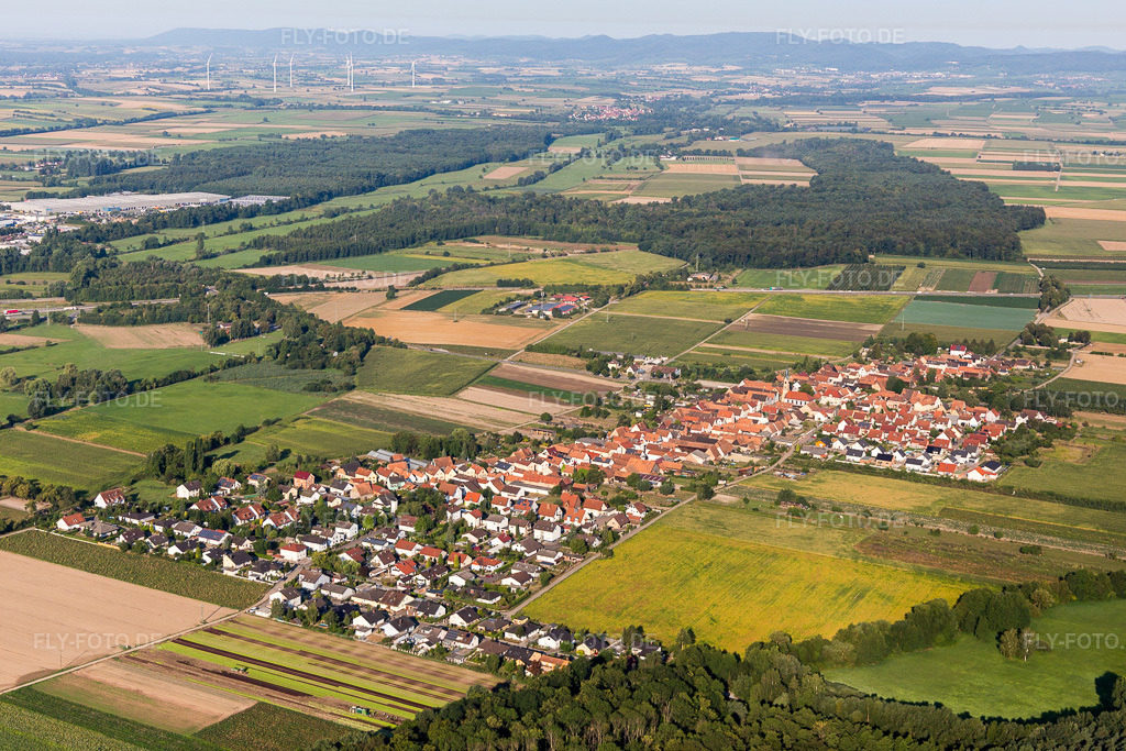 Luftbild: Ortsansicht von Nordosten in Erlenbach bei Kandel im Bundesland Rheinland-Pfalz in Deutschland. Foto: IMG_109632.jpg vom 31.07.2018 durch Werner Riehm/FLY-FOTO.de