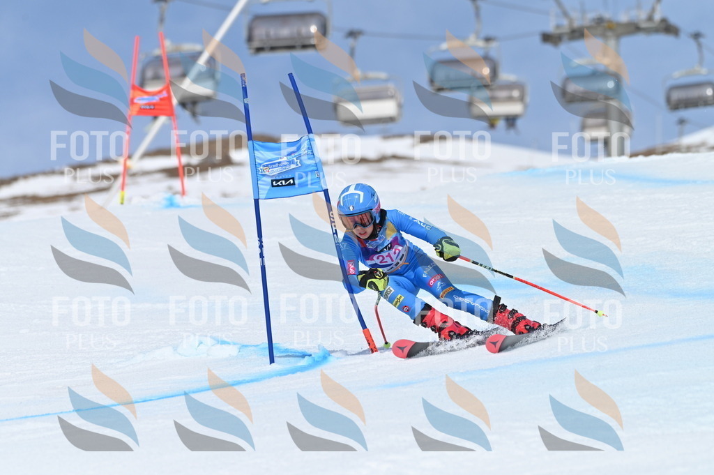 BGV_1169 | holidayphoto