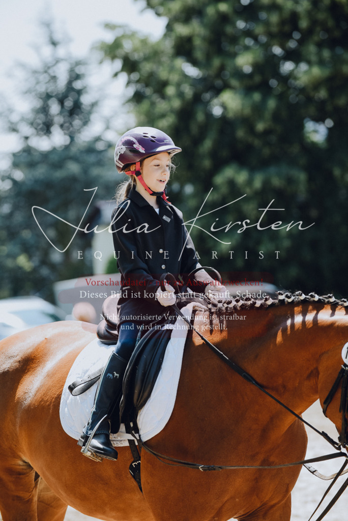 DSC_2308 | Pferde- und Turnierfotografie in Westsachsen. Pferdeportraits, Auftragszeichnungen und intuitive Kunst.