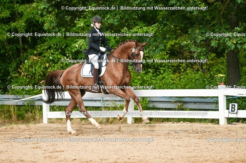 20230716_01_Dressurprüfung Kl.M_0545 | equistock