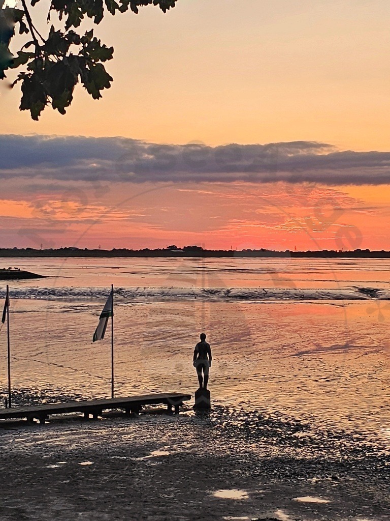 Nordsee Momente pur Nordseeküste Naturaufnahmen  | Nordsee in all ihrer Natürlichkeit  - Realisiert mit Pictrs.com