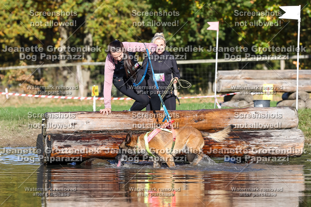 Dog Paparazzi - Strongdog 10-25-8935 | Dog Paparazzi Jeanette Grottendiek Fotografie & Videografie - Realisiert mit Pictrs.com