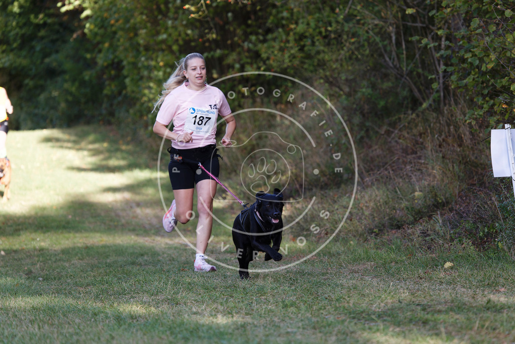 0L8A5488 | Hundefotografie, Tierfotograf, Pfotenfotografie, Fotoshooting Hund, Hunde Portrait, Hundesport, Hundeportraits, Heideshooting, Hunde, Sportfotograf, Hundefotograf, Turnierhundsport, THS,  - Realisiert mit Pictrs.com