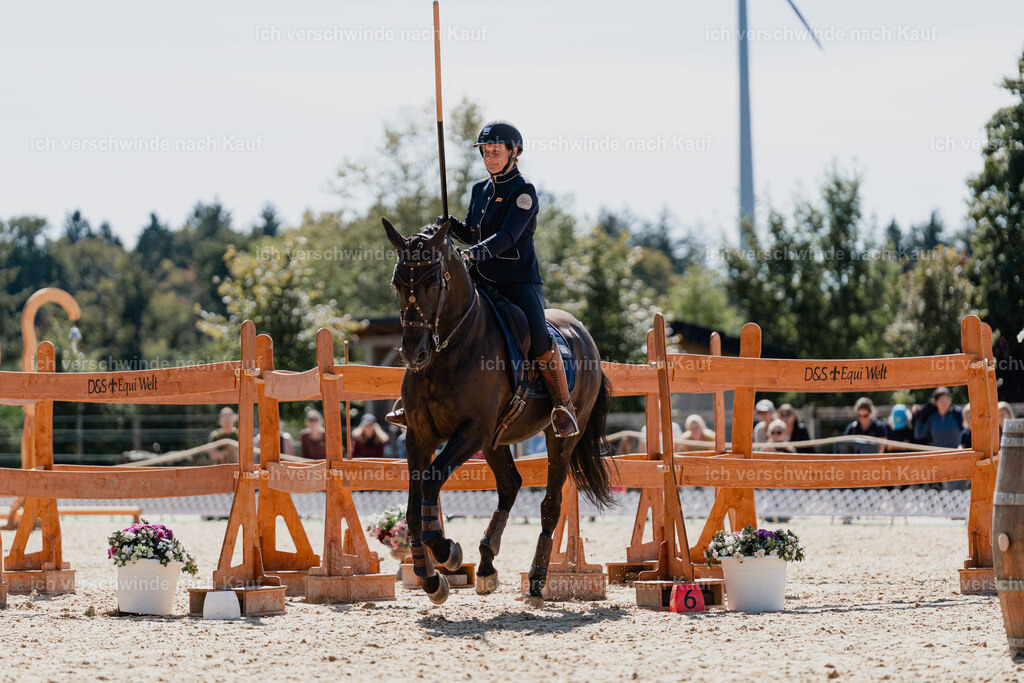 Mirjam25_FHC2025-08655 | working equitationturnier fotograf videograf stoibphotography marixx film working equitation deutschland reitsport turnierfotografie eventfotografie equestrian events