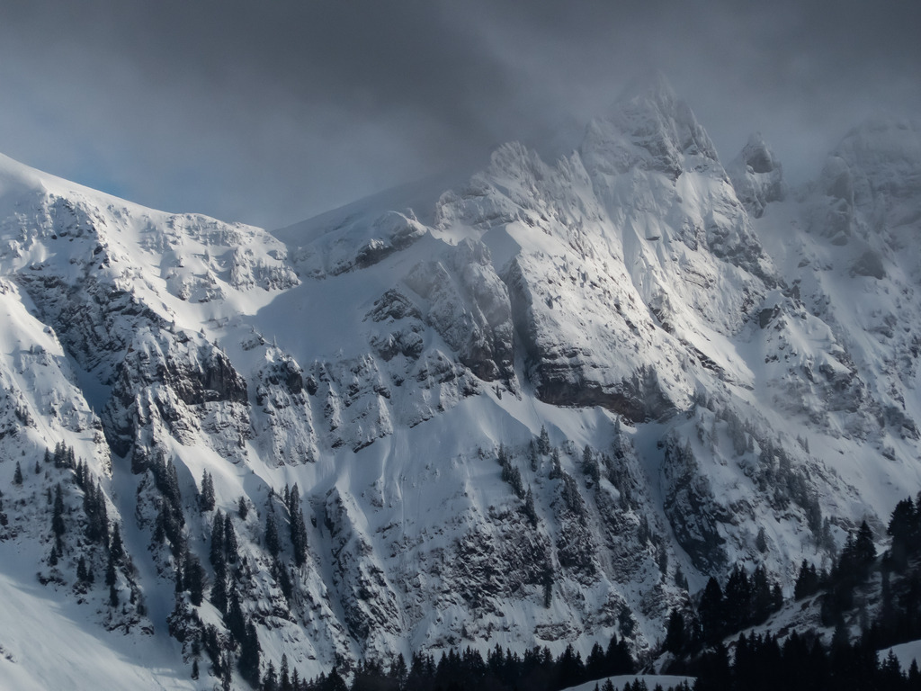 PSX_20230312_234625 | mtkfoto_ - Realisiert mit Pictrs.com