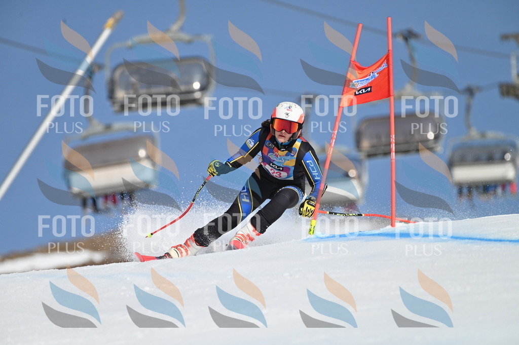 BGV_7991 | holidayphoto