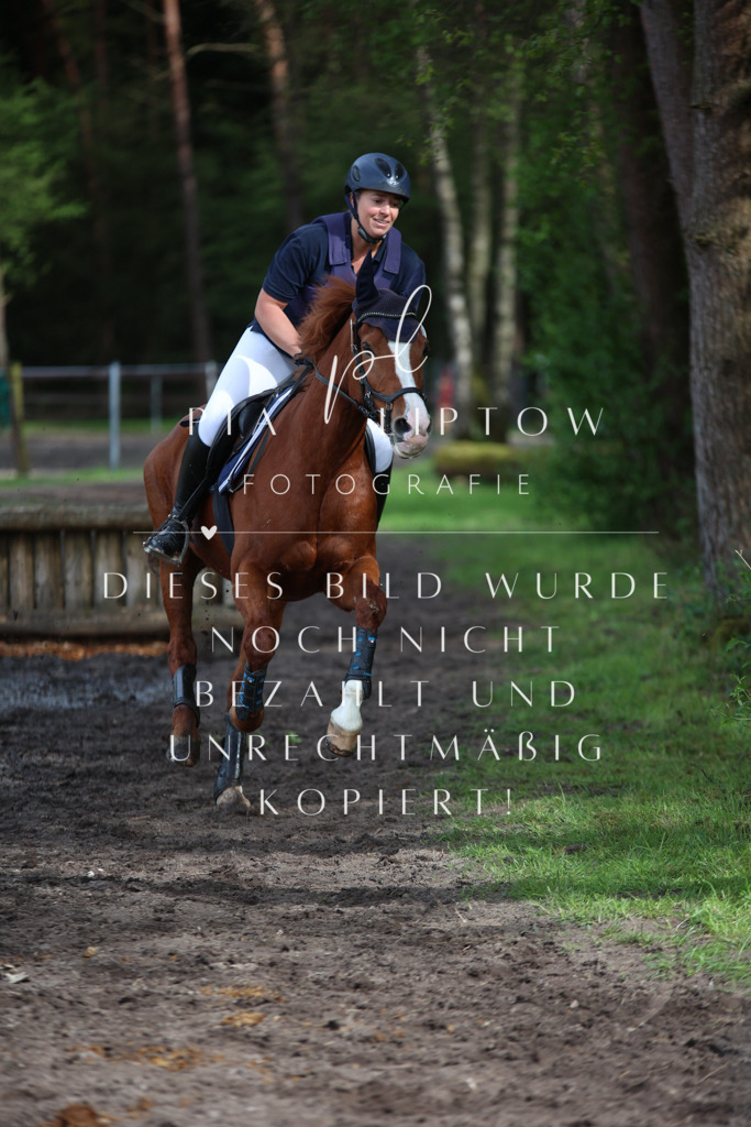 IMGT2015 | pl-fotografie