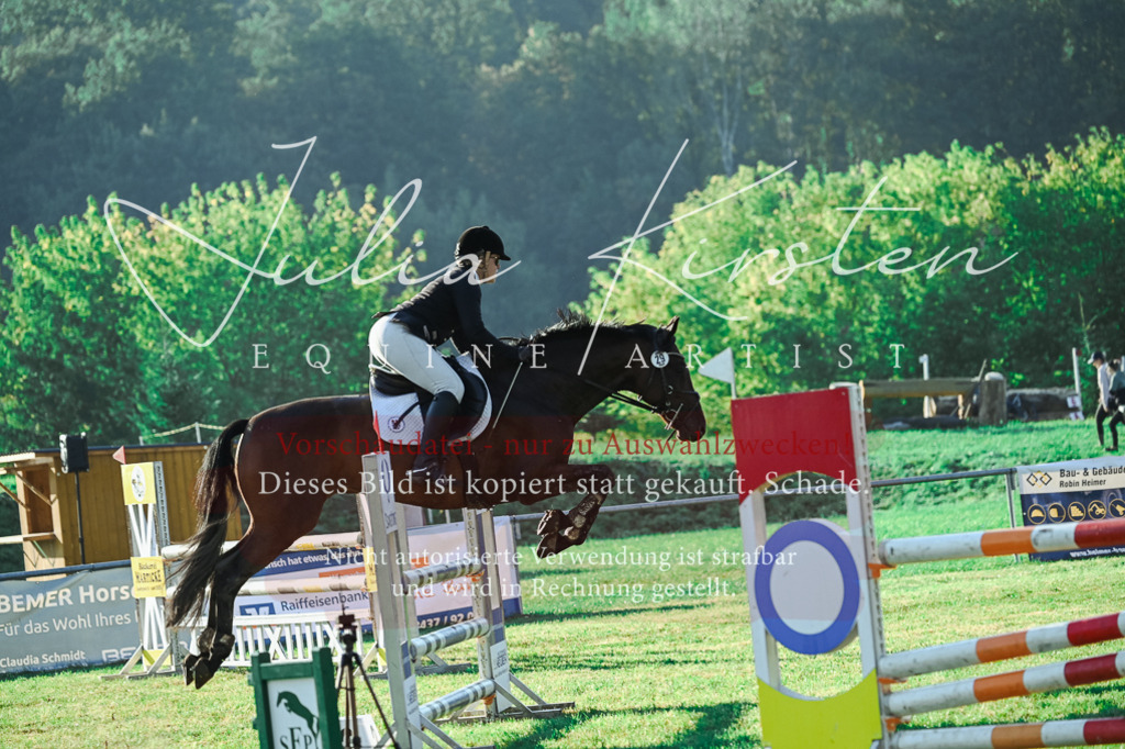 DSC_4351 | Pferde- und Turnierfotografie in Westsachsen. Pferdeportraits, Auftragszeichnungen und intuitive Kunst.