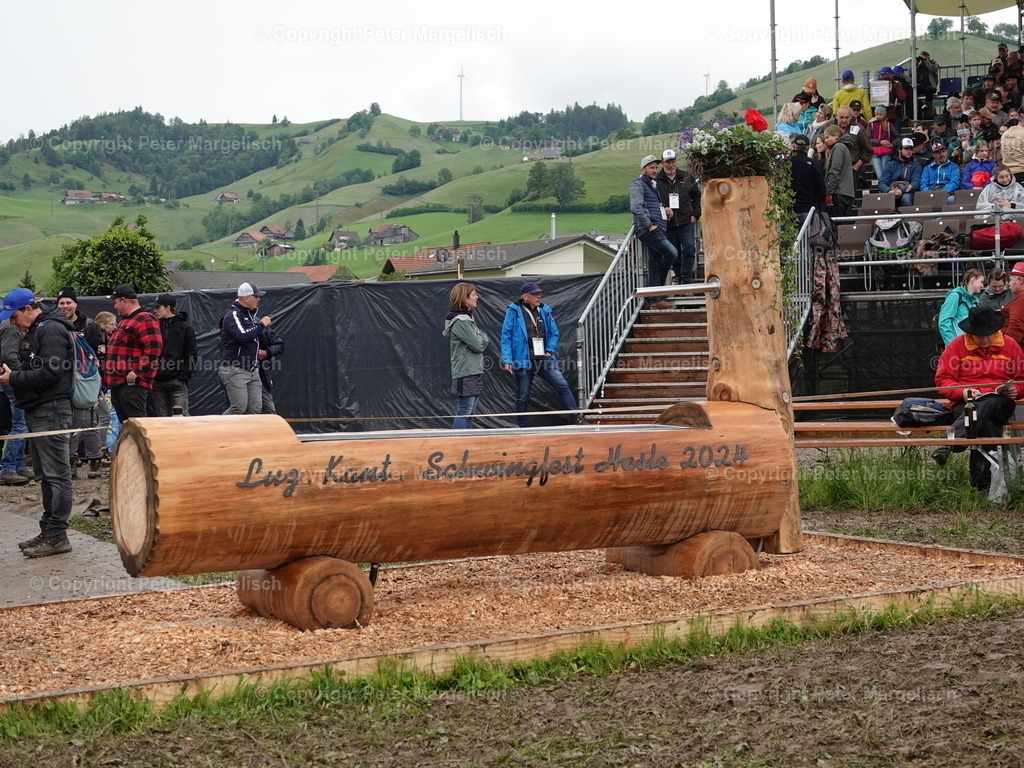 DSC07603 | Schwingen - Realisiert mit Pictrs.com