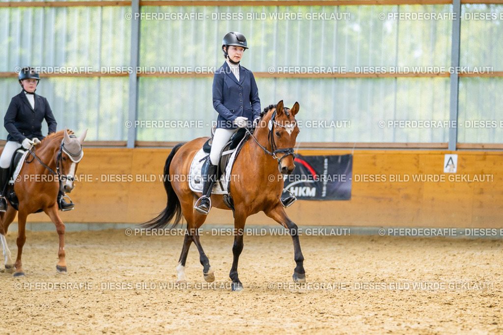 DSC08702 | Pferdegrafie