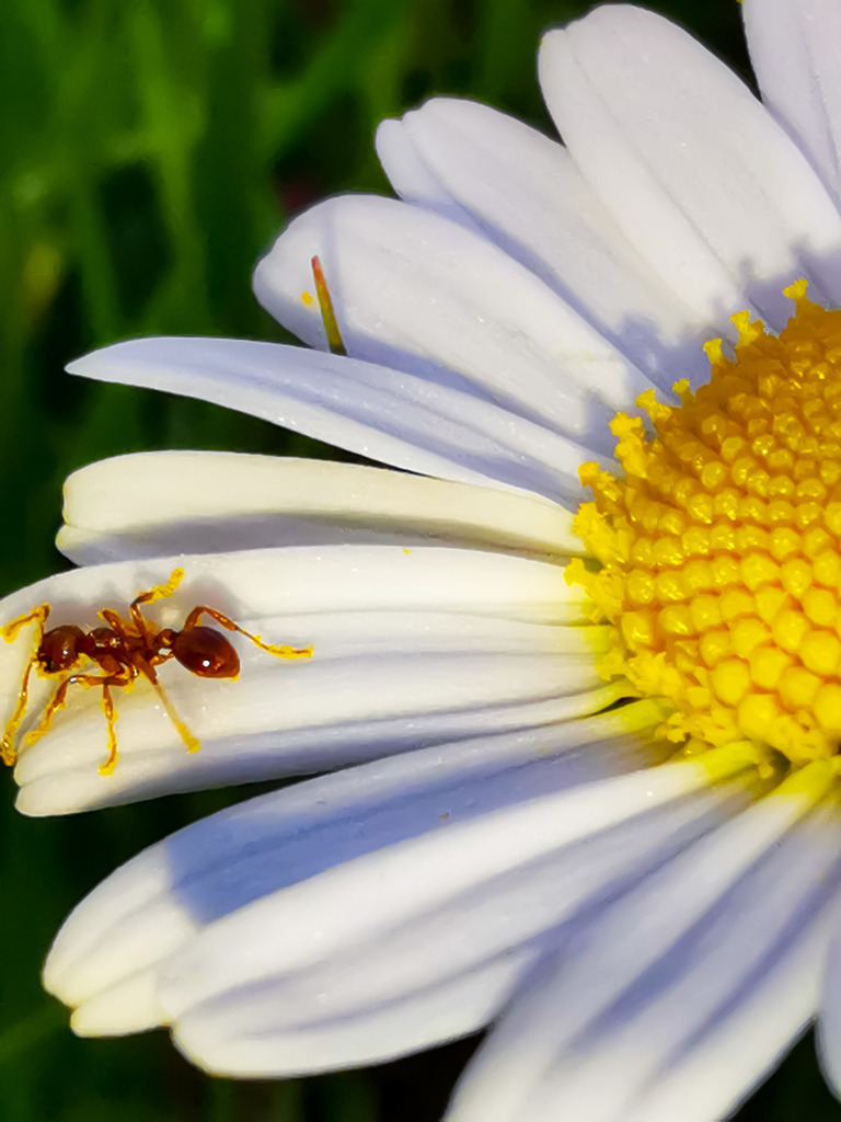 PSX_20230528_231819 | mtkfoto_ - Realisiert mit Pictrs.com