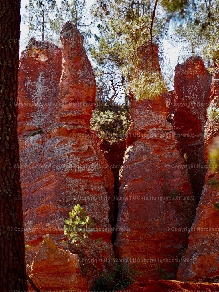 IMG_2950 | OLYMPUS DIGITAL CAMERA          - Realisiert mit Pictrs.com