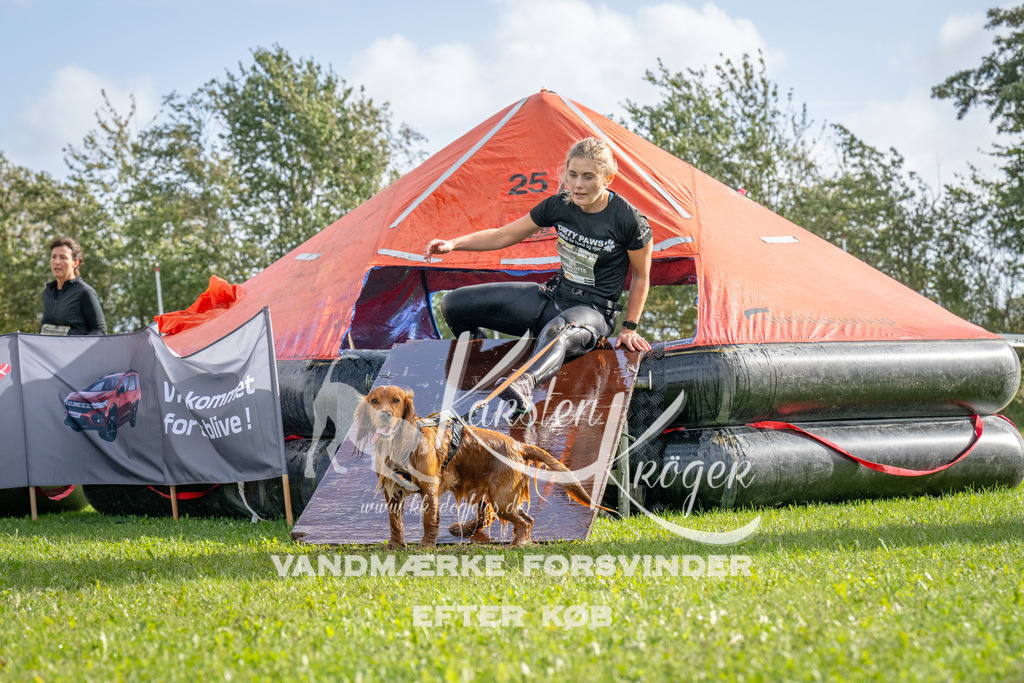 1210-92676 | kk-dogfotos