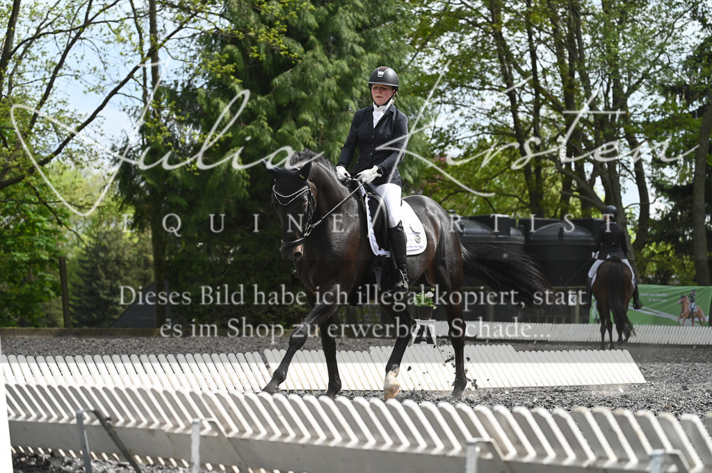 20230512_JK-Röhrsdorf-08-142 | Pferde- und Turnierfotografie in Westsachsen. Pferdeportraits, Auftragszeichnungen und intuitive Kunst.