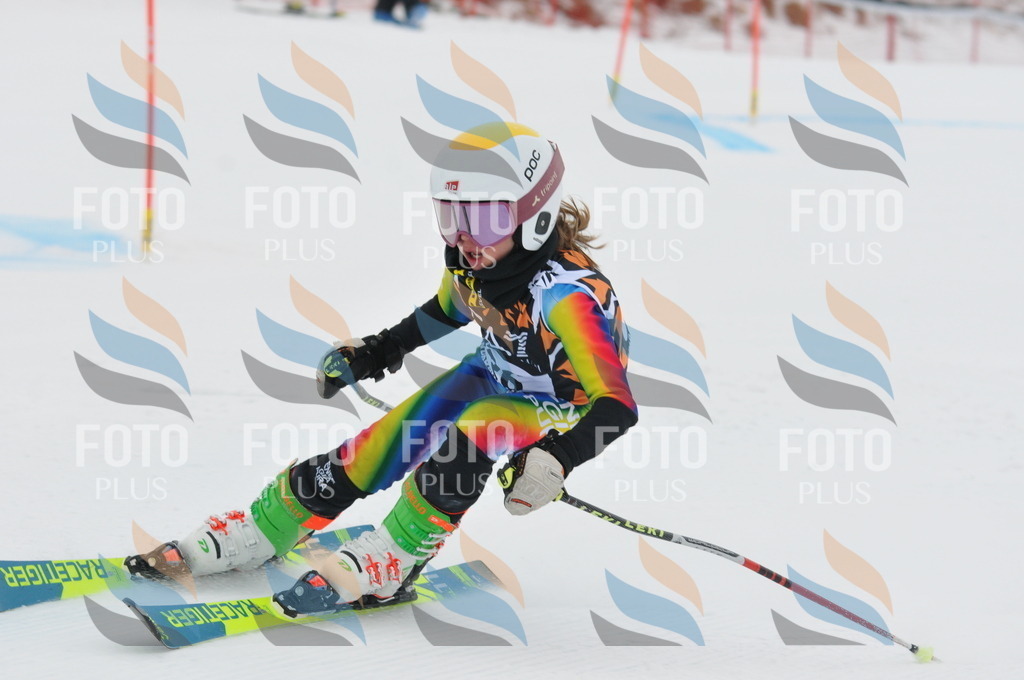 DSC_7520 | holidayphoto