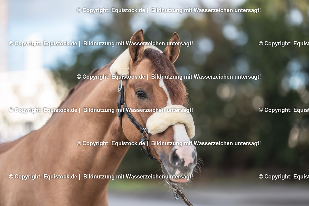 20231115_Ann-Cathrin-Rieg_und_Derrick_0015_TOMsPiC | Foto: Thomas Hartig