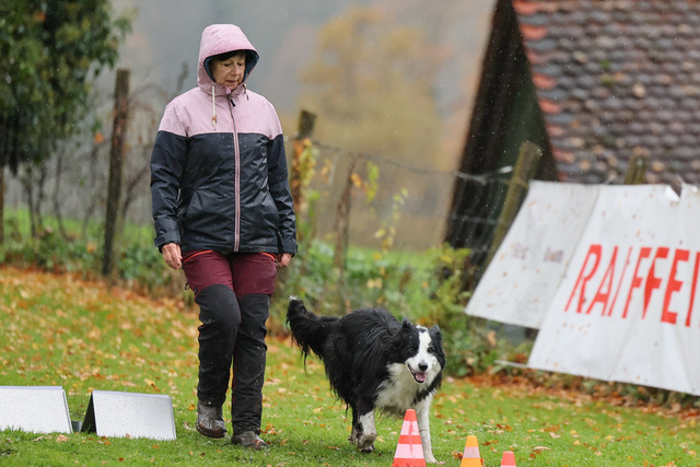 2025_Rally_Obedience_SM-118 | Ich fotografiere Hundeausstellungen, Sportanlässe, Zuchtstätten, Hundezucht, Hundeportrait, Lagotto - Realisiert mit Pictrs.com