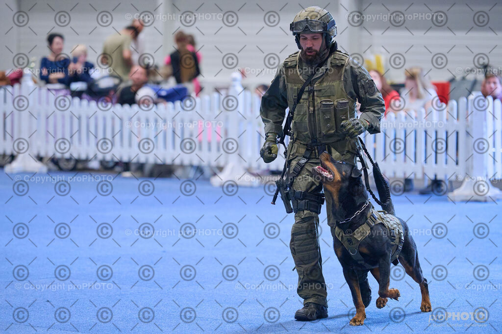 202406_ÖKV-IHA-Tulln24_DSC_3560 | proPHOTO - Realisiert mit Pictrs.com