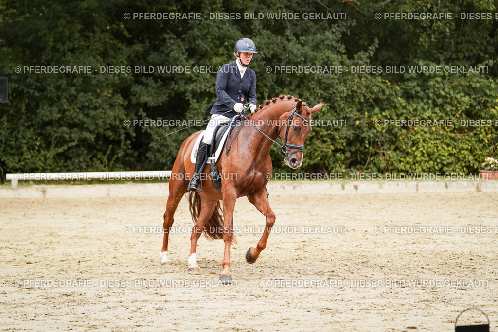 DSC09408 | Pferdegrafie