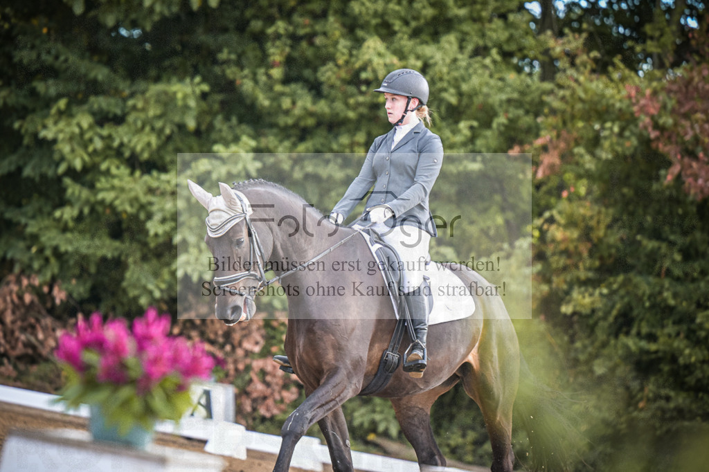 DOS_0608 | Entdecke hochwertige Reitturnierfotos von Foto Oger. Professionell, emotional und authentisch – jetzt Lieblingsmomente im Shop bestellen.Deutschlandweite Turnierfotografie. - Realisiert mit Pictrs.com