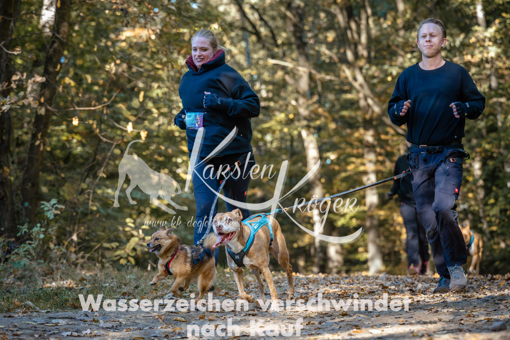 1122_ZZ92198 | kk-dogfotos