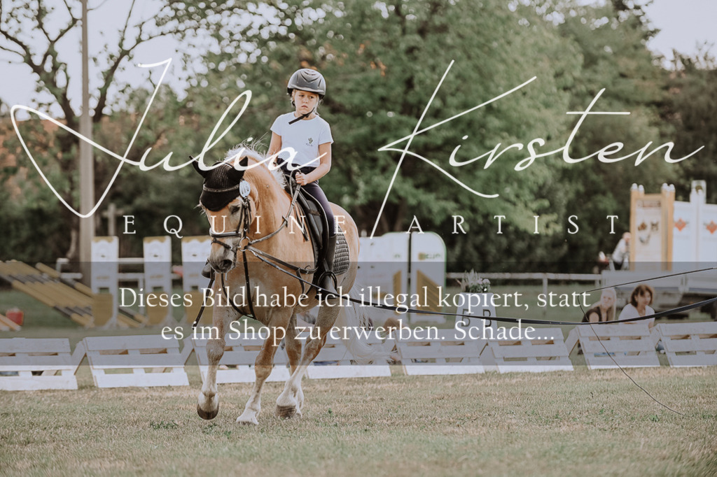 DSC_7673 | Pferde- und Turnierfotografie in Westsachsen. Pferdeportraits, Auftragszeichnungen und intuitive Kunst.
