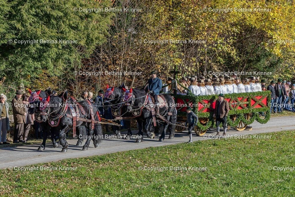 LBT25-394 | foto-bettina-krinner - Realisiert mit Pictrs.com
