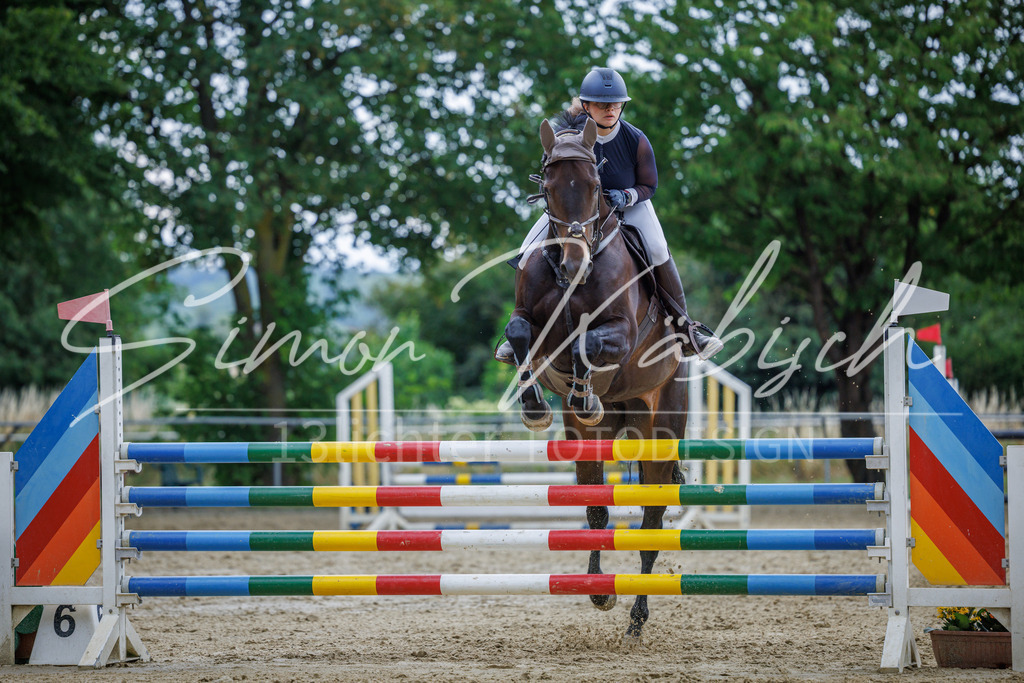 20260705-_3LI6273 | Tierfotografie Pferde, Hunde, Katzen, Haustiere.
Turnierfotografie Reitturniere, Reiten, Springreiten, Dressur in Hanau, dem Main-Kinzig-Kreis und dem Rhein-Main- Gebiet um Frankfurt