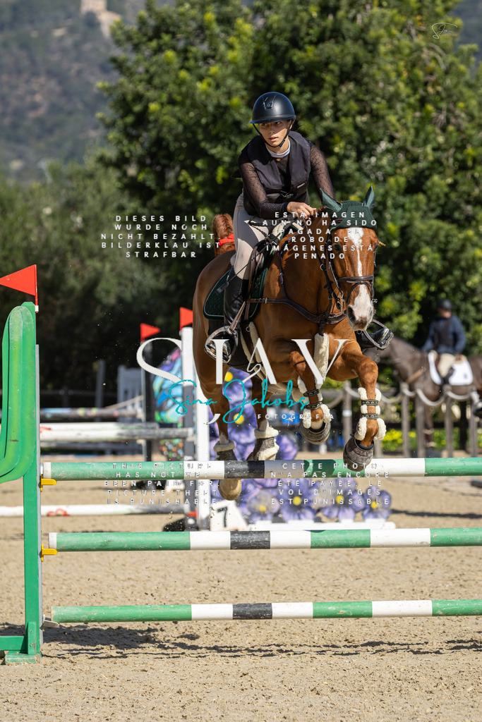 IMG_6527 | s-jay-photography - Realisiert mit Pictrs.com