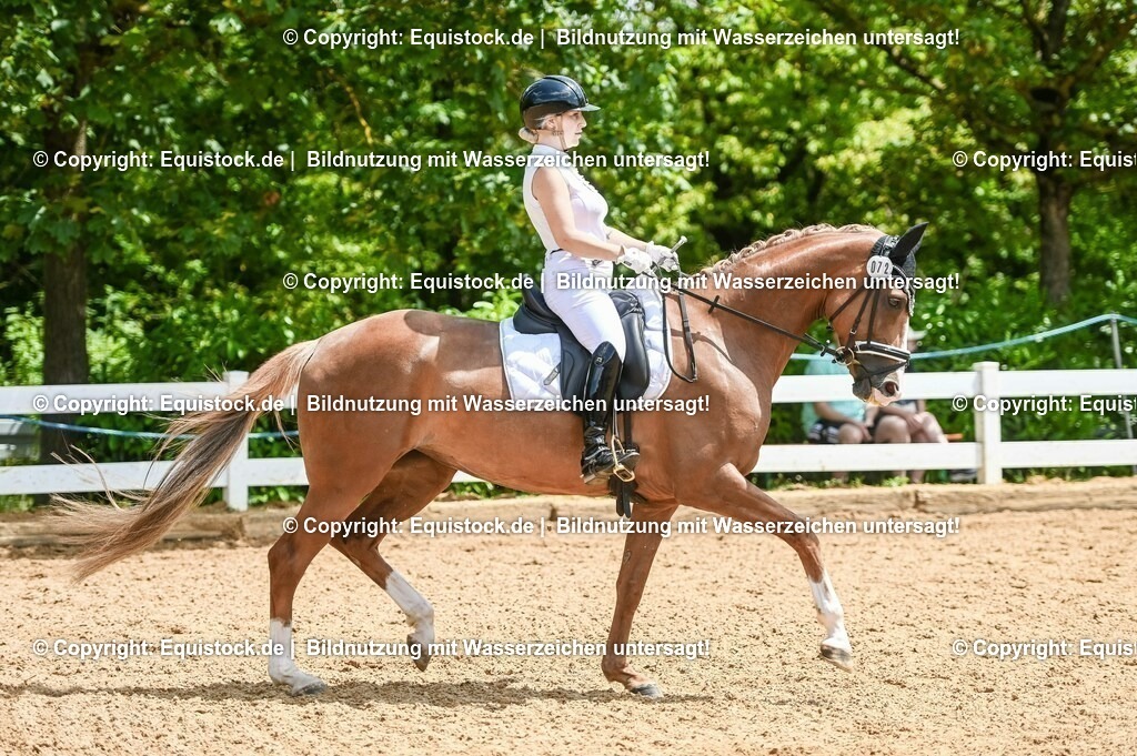 20230716_03_Dressurprfg. Kl.L - Tr._0469 | equistock