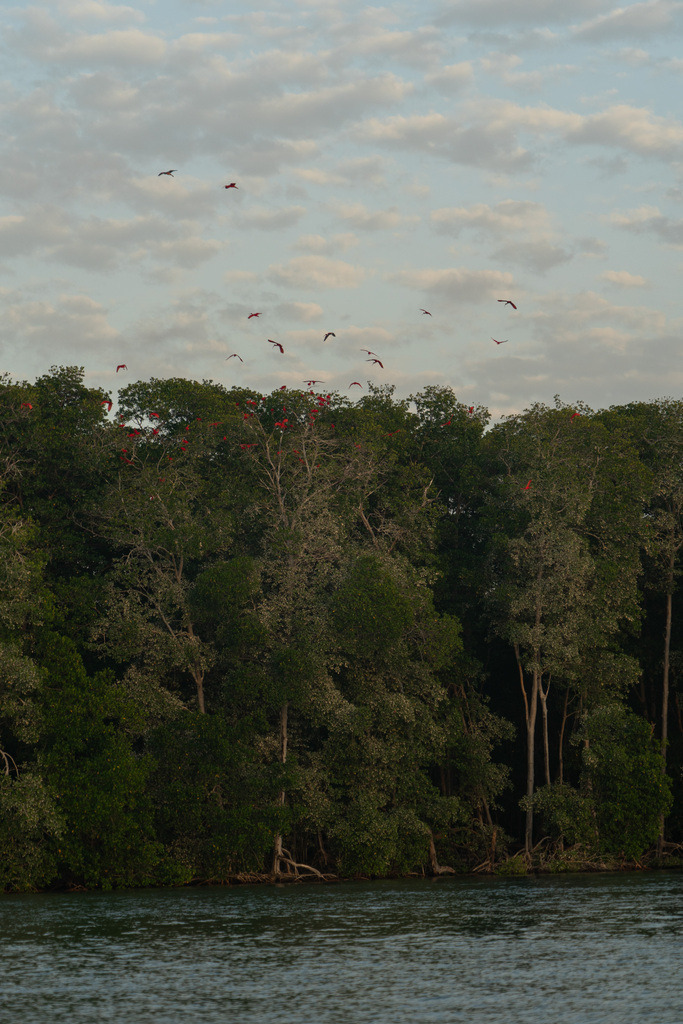 20251118-DeltaTour-0046 | paulependelt - Realisiert mit Pictrs.com