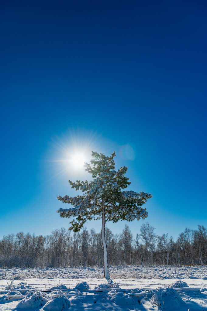 2023_03_11_MCP7314 | Hochwertig gedruckte Fotografien für die Wand, als Kalender und zum Verschenken. Hamburg & Norddeutschland und überall wo ich mit der Kamera unterwegs war.
