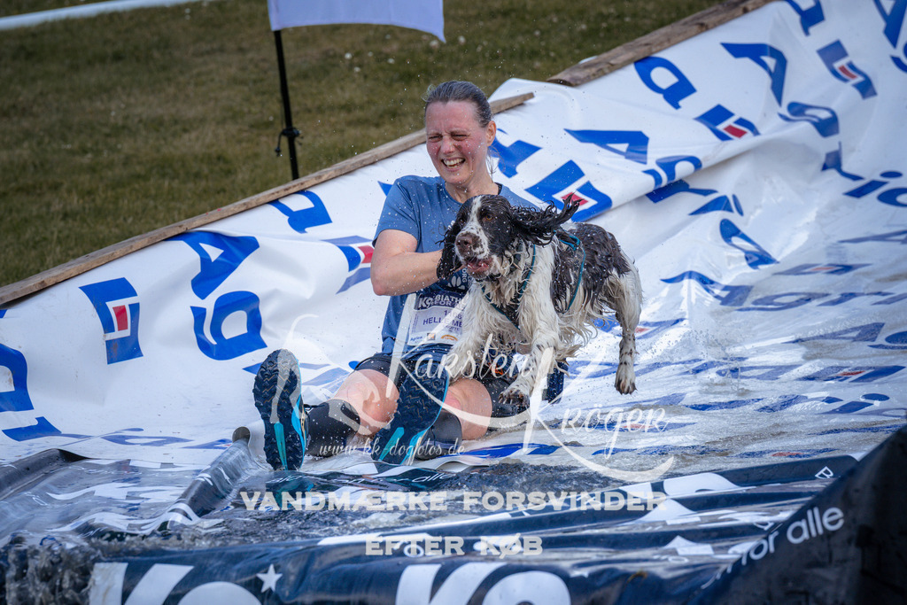 _ZZ921330922 | kk-dogfotos