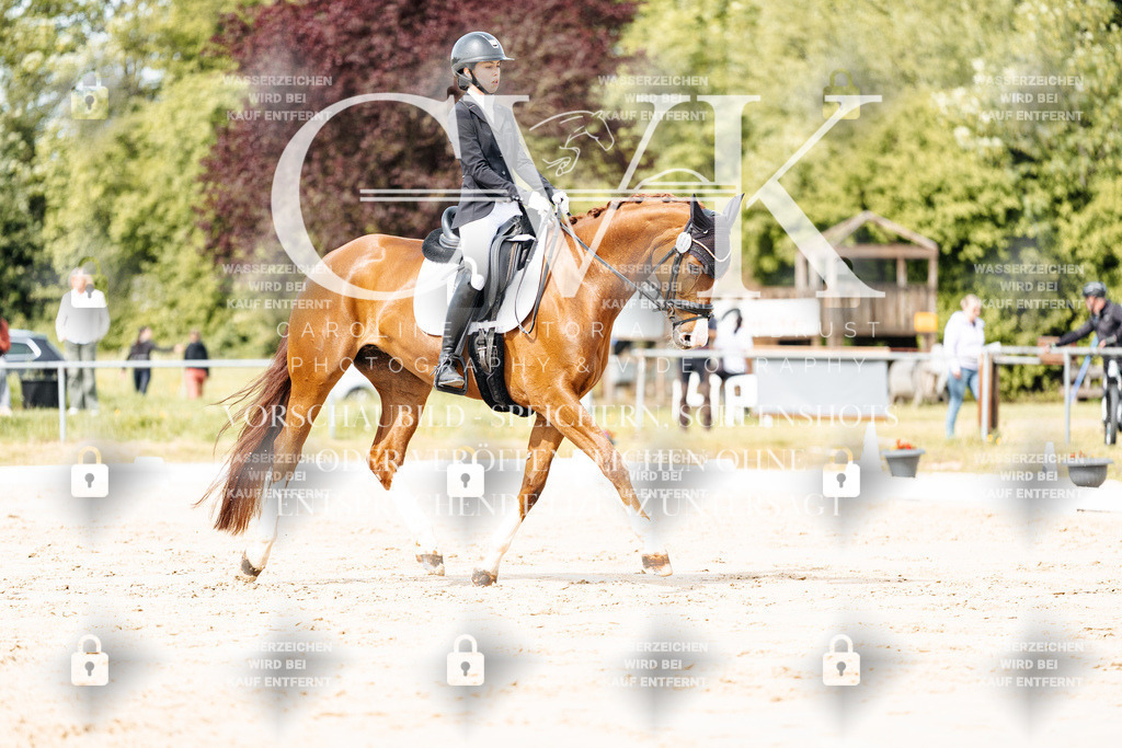 CK901107 | Turnierfotografie Pferdefotografie Trier Rheinland-Pfalz Pferdesport Reitsport Tierfotografie Sportfotografie Pferdevideo Pferdevideografie Equestrianvideography equestrianphotography  - Realisiert mit Pictrs.com
