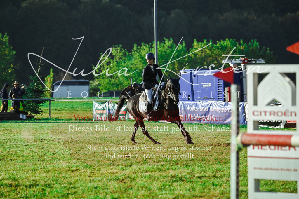 DSC_4082 | Pferde- und Turnierfotografie in Westsachsen. Pferdeportraits, Auftragszeichnungen und intuitive Kunst.